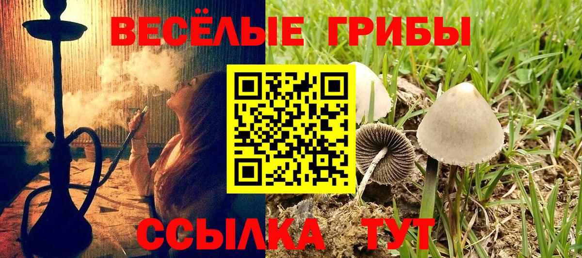 Качканар  Галлюциногенные грибы мицелий  Вход с VPN 